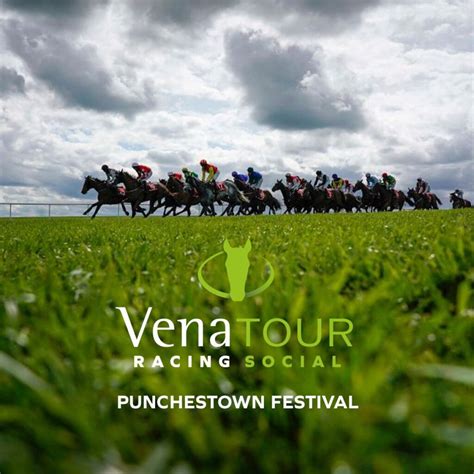Official Punchestown Festival 2025 .